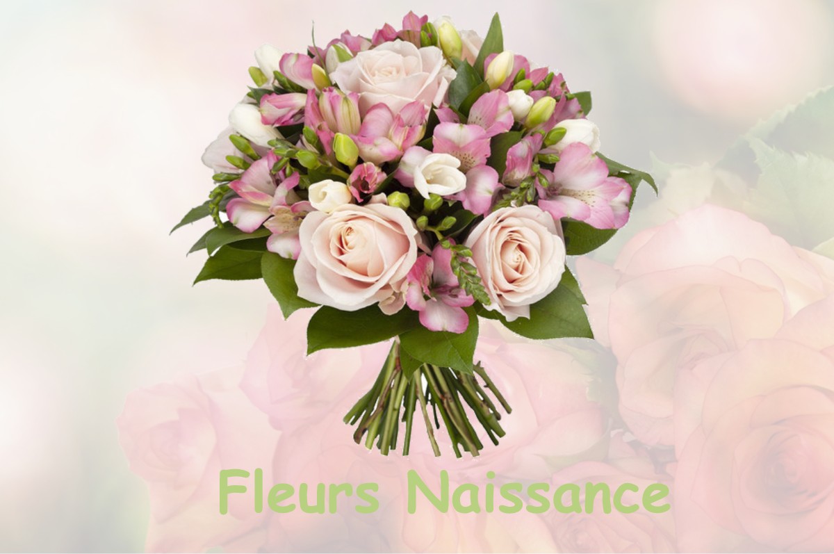 fleurs naissance SAINT-BEAT